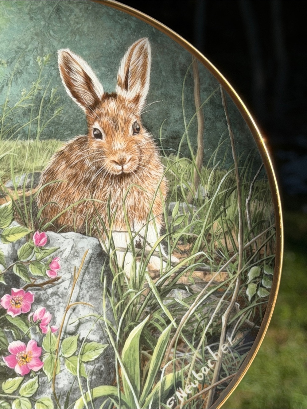 “Wild Roses” Collector Plate Decor | Bunny Rabbit | So Cute! - Picture 5 of 10